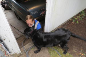 Misty supervising a transmission swap in Sept 2020