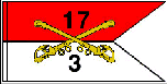 3/17 Flag.Gif