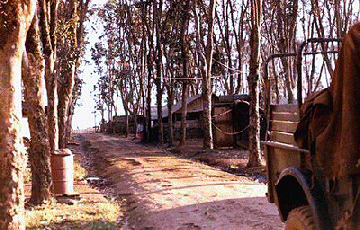 Quan Loi '71.Gif